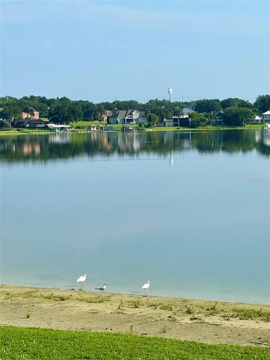 Image 1 Image 1