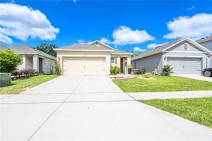 3206 SURFBIRD