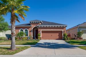 11226 SPRING POINT