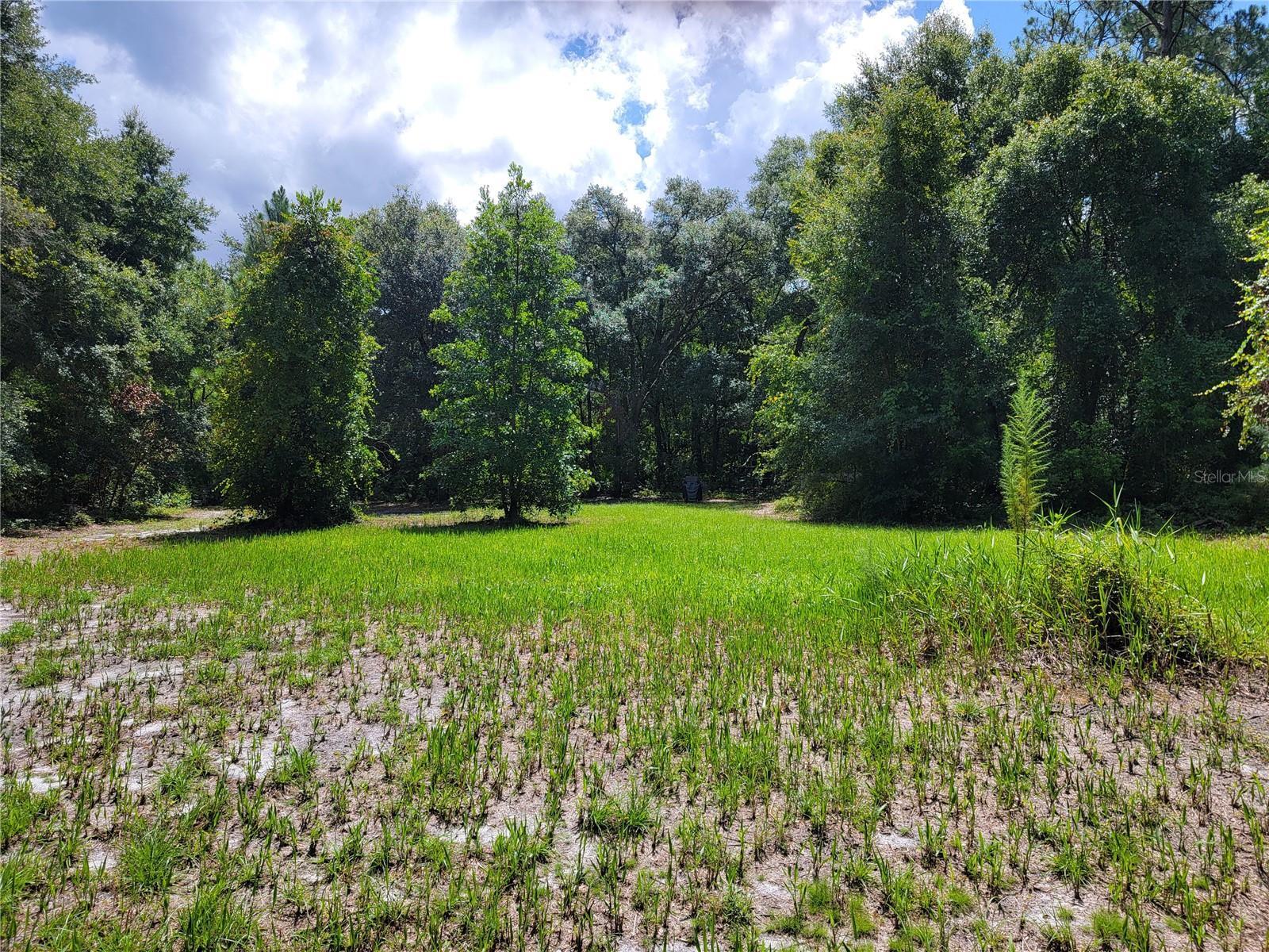 Image 1 Image 1