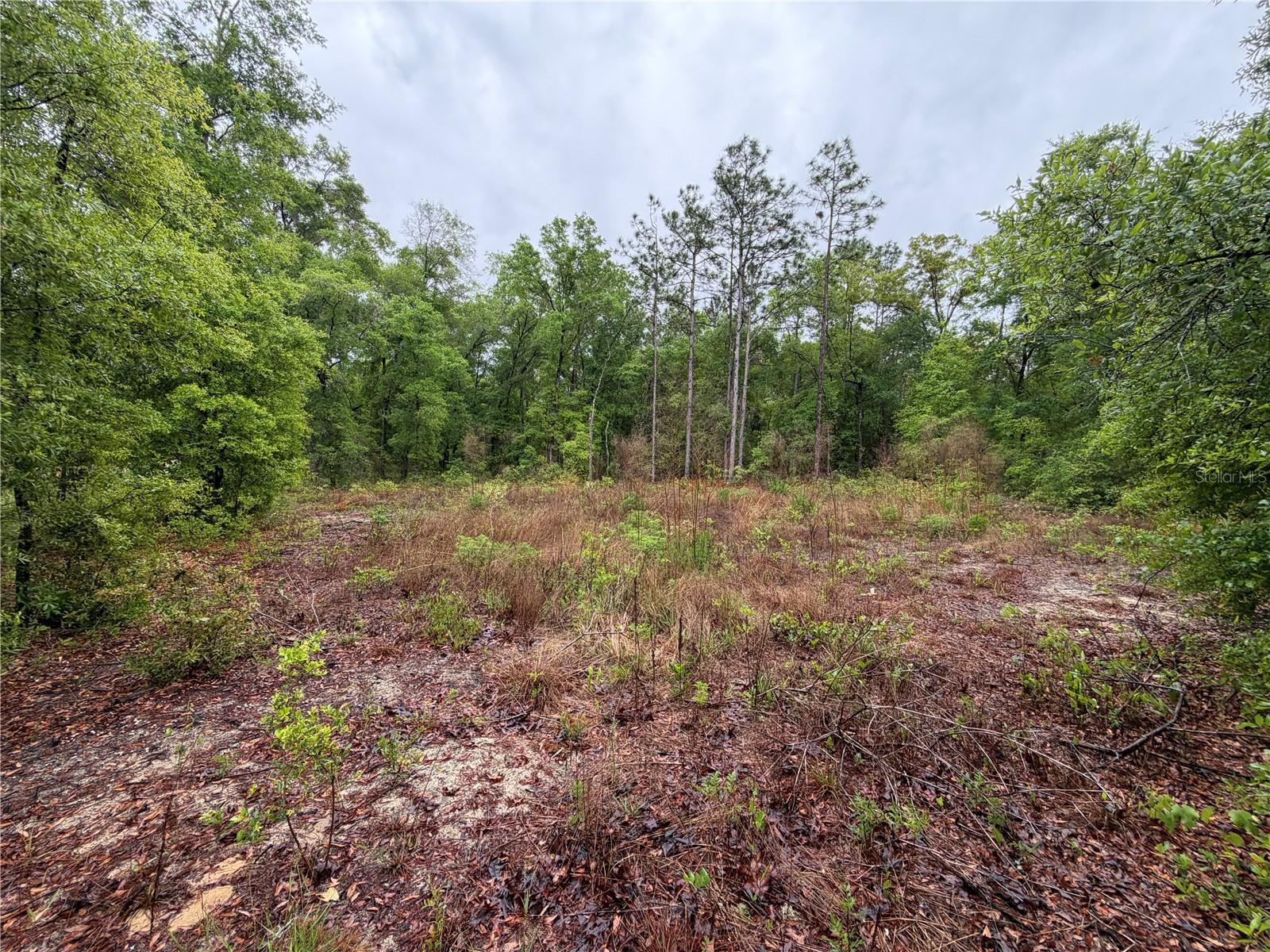 Image 1 Image 1