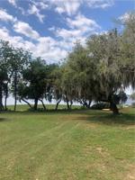 LAKE MINNEOLA SHORES