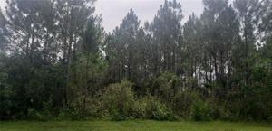 7 PALMETTO S DRIVE