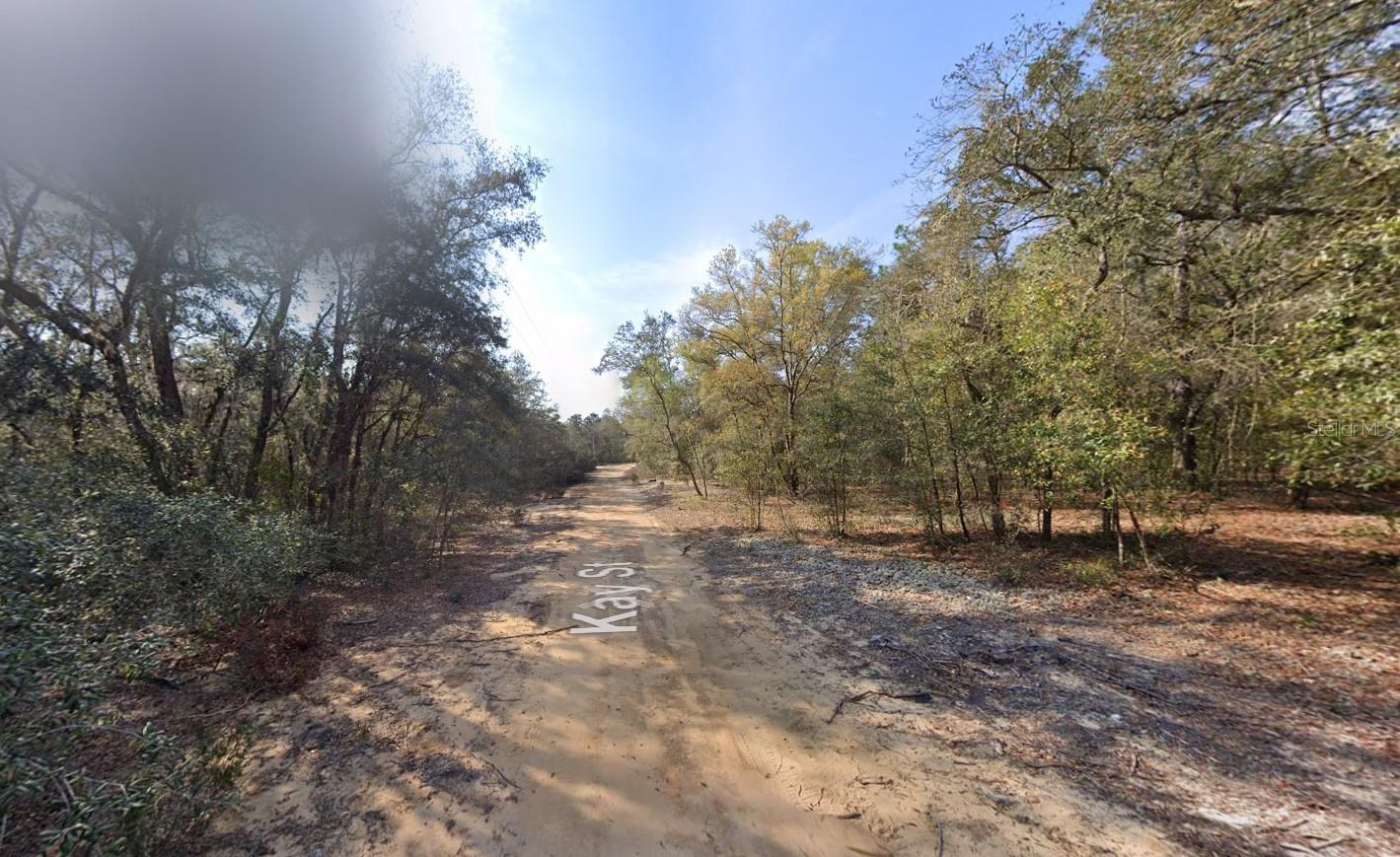 Image 3 Image 3