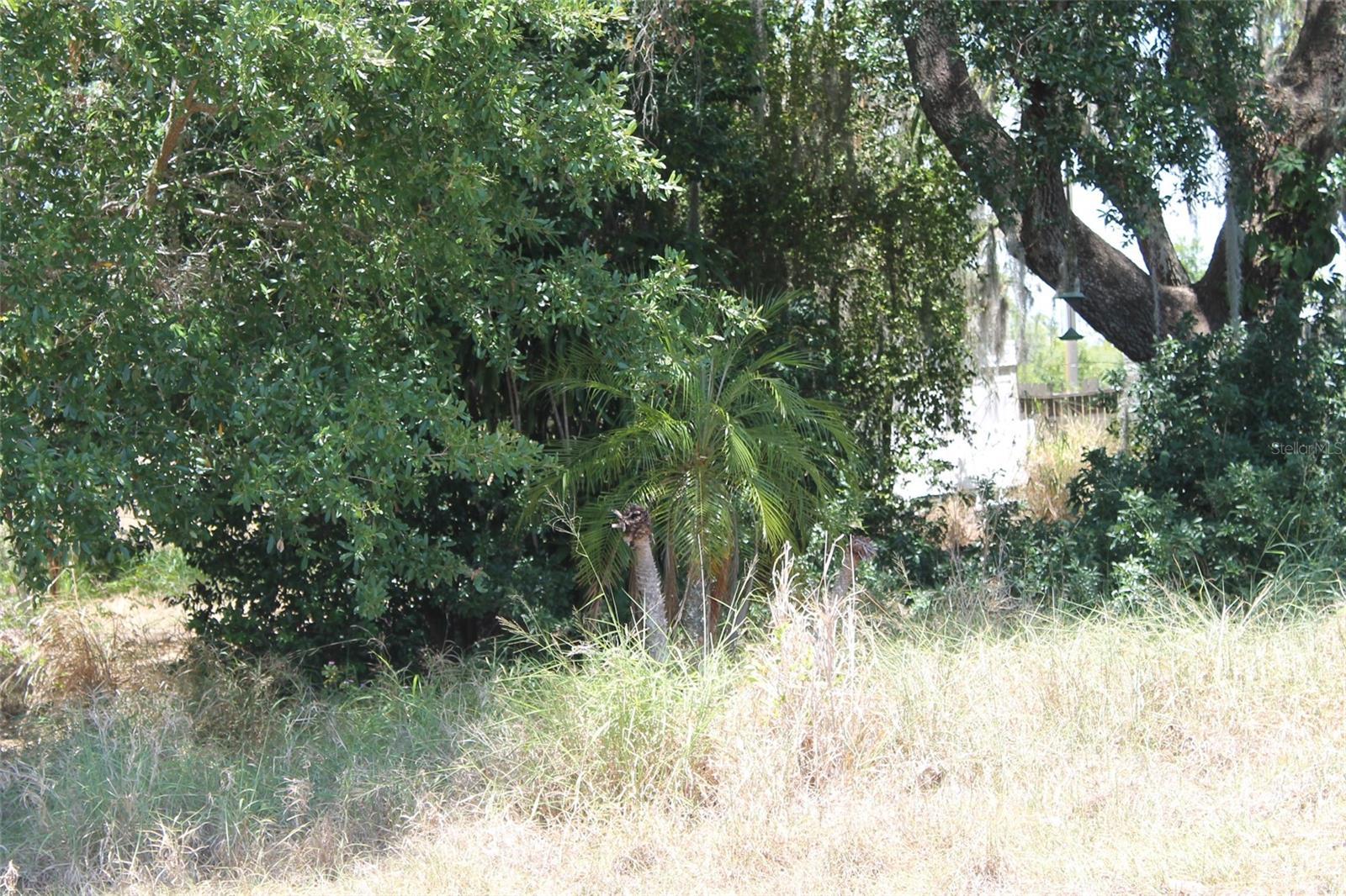 Image 2 Image 2