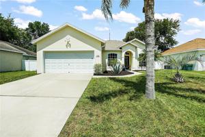 209 BLUFF PASS DRIVE