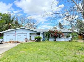 157 PLUMOSUS DRIVE