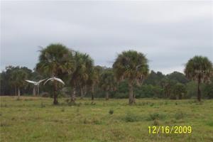 8237 HWY 441  SE (2 PARCELS TOTALING 18.34 ACRES)