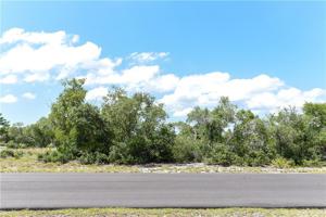 DEER ROAD