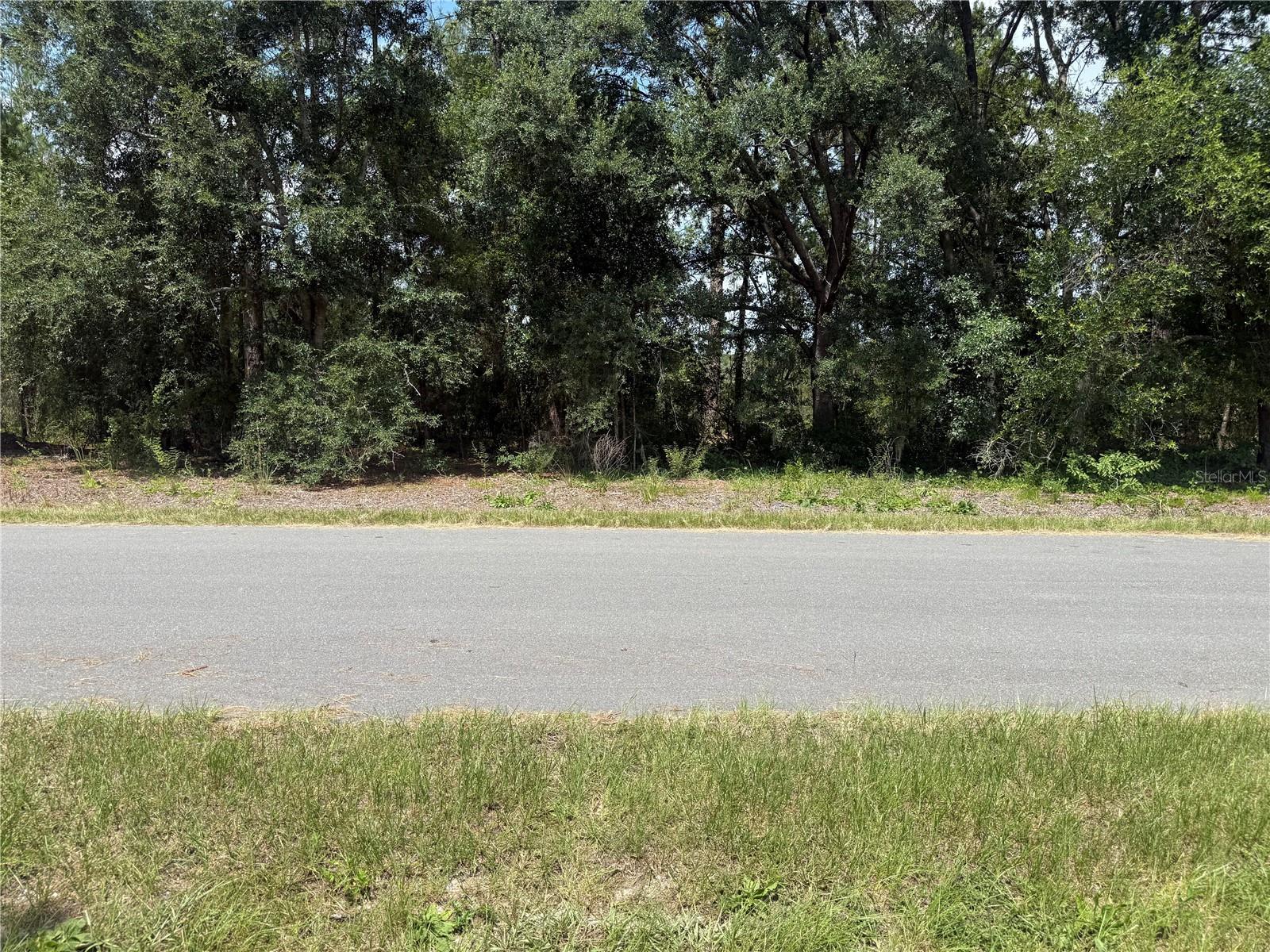 Image 1 Image 1