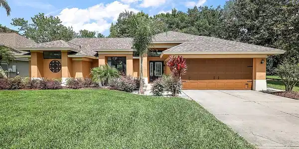 19445 SPRING OAK