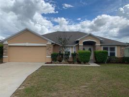 5003 QUERCUS