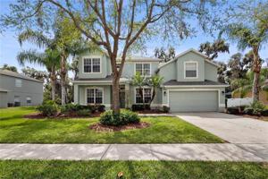 3125 TWISTED OAK LOOP