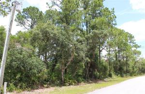 Lot 15 & 16 VITEX AVENUE