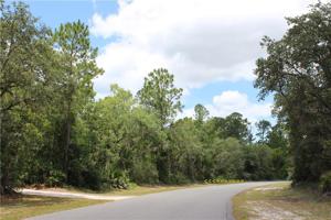 Lot 20 POINCIANA STREET