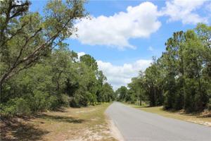 Lot 21 POINCIANA STREET