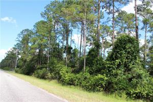 Lot 4 QUINCE AVENUE