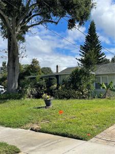 113 HAWTHORNE ROAD