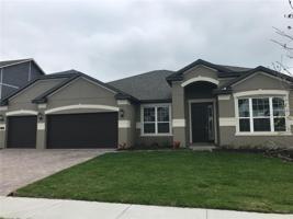 1504 JUNIPER HAMMOCK