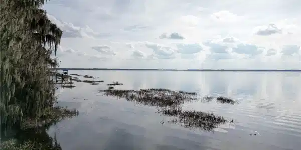 Image 2 Image 2