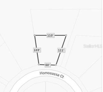 1327 HOMOSASSA COURT
