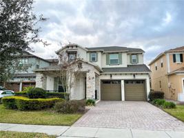 6891 TRELLIS VINE LOOP