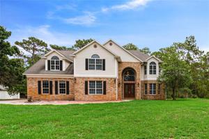 13203 LACEBARK PINE