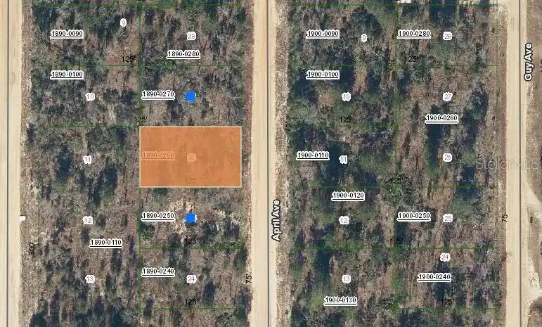 Image 1 Image 1