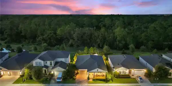 17964 PASSIONFLOWER CIRCLE
