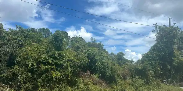 Image 4 Image 4