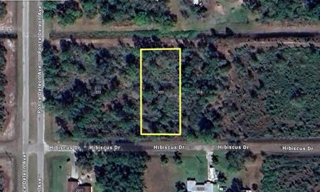 320 HIBISCUS DRIVE