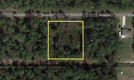 211 ORCHID DRIVE