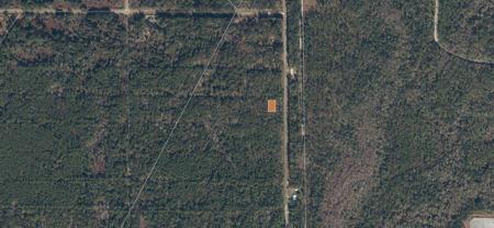 339 CHIPOLA DRIVE
