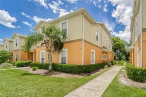 4181 WINDING VINE