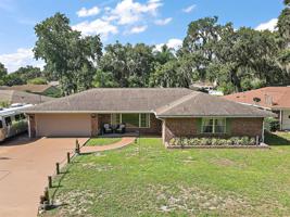 7 LIVE OAK