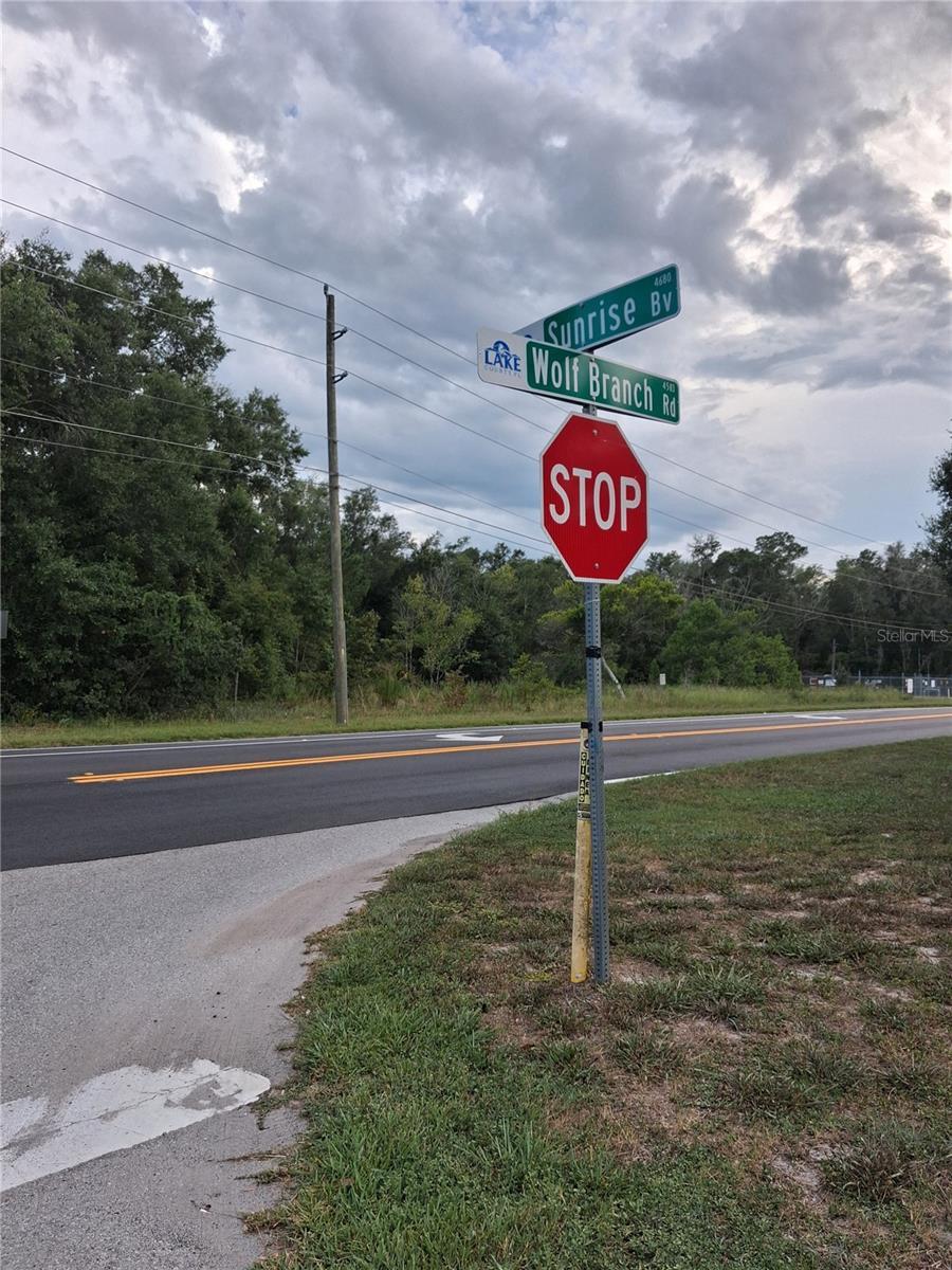 Image 1 Image 1