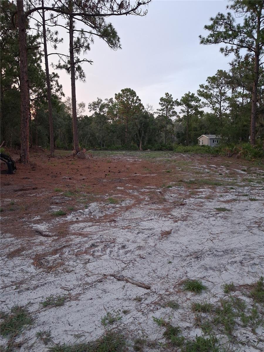 Image 4 Image 4