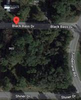 2622 BLACK BASS