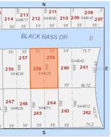 BLACK BASS