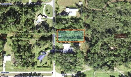 50 LIMONIA DRIVE