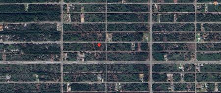 903 PLUMOSA DRIVE