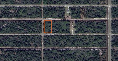 424 BOUGAINVILLE DRIVE