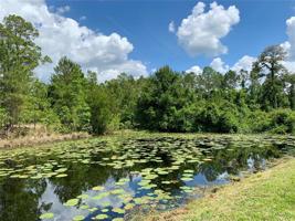 Lots 1,2,3,4 TAMARAC
