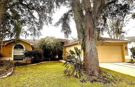 2321 ROTHENFELD COURT