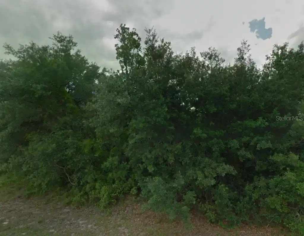 Image 1 Image 1