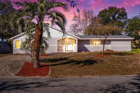 16247 LAKE JOHNS CIRCLE