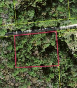 Lot 48 AMELIA TRAIL