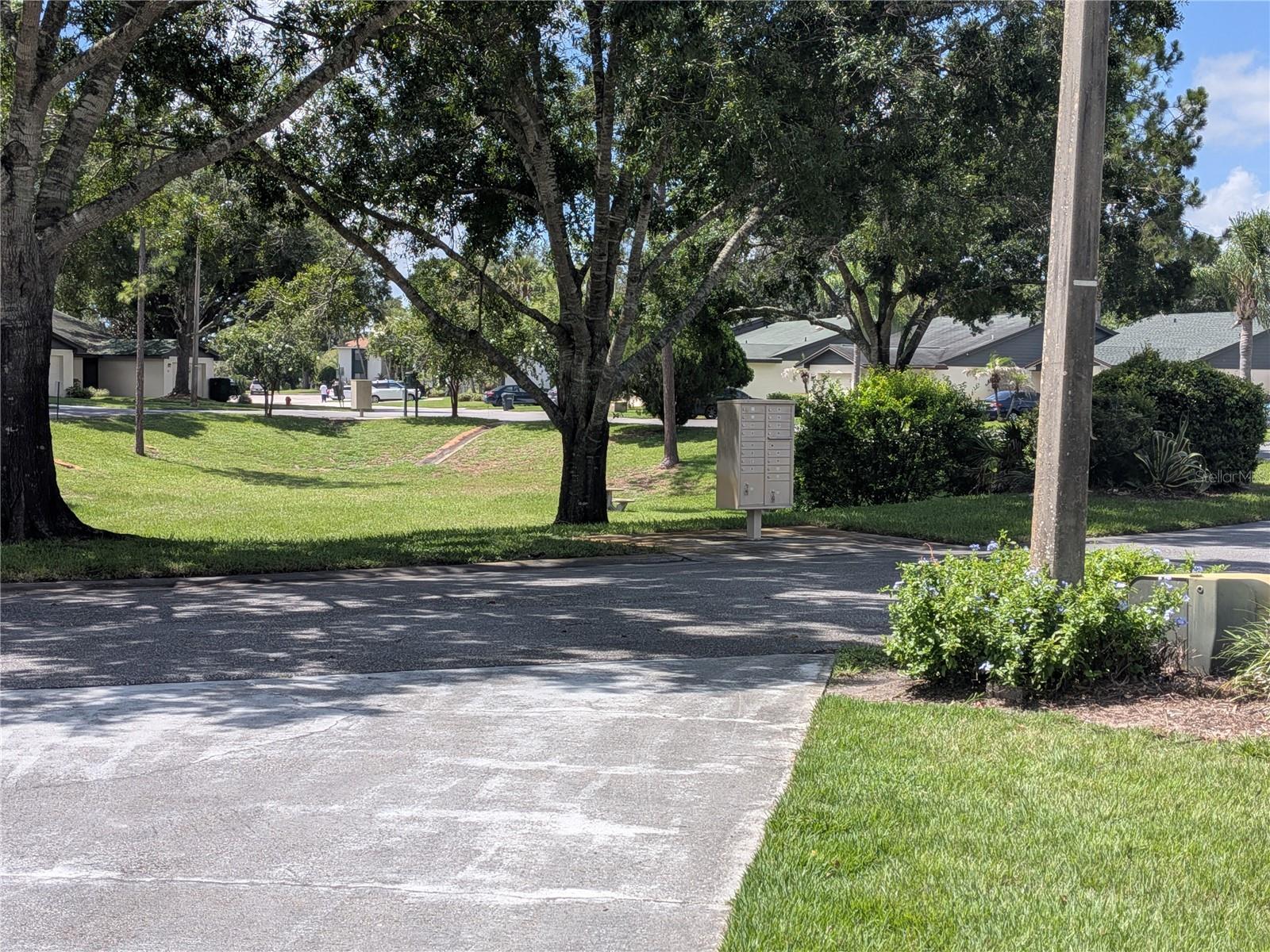 Image 4 Image 4