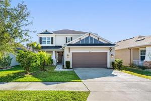 8832 TROPICAL PALM