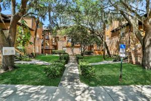 486 PIN OAK